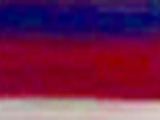 Flag Variegated Color Chip